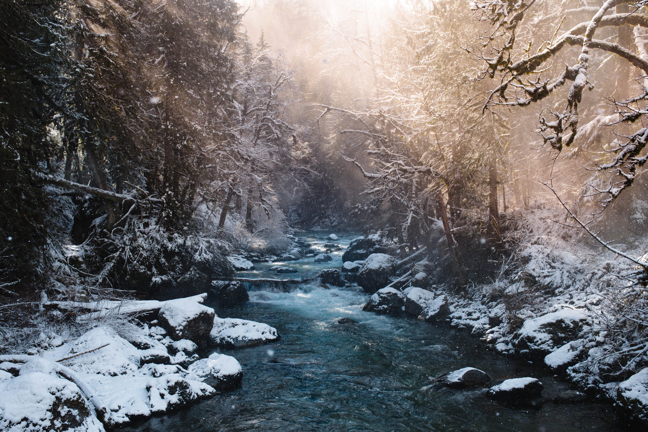 Brilliant Winter backdrop